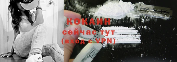 твердый Вязьма