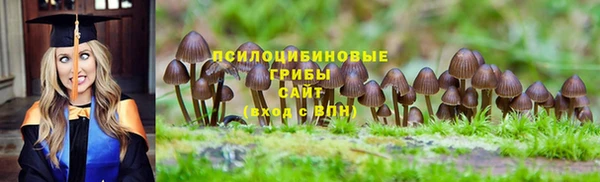 дмт Вяземский