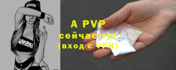 дмт Вяземский