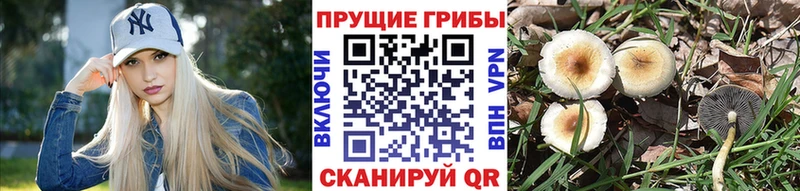 Галлюциногенные грибы мицелий  Химки 